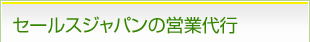 �����륹����ѥ�αĶ����